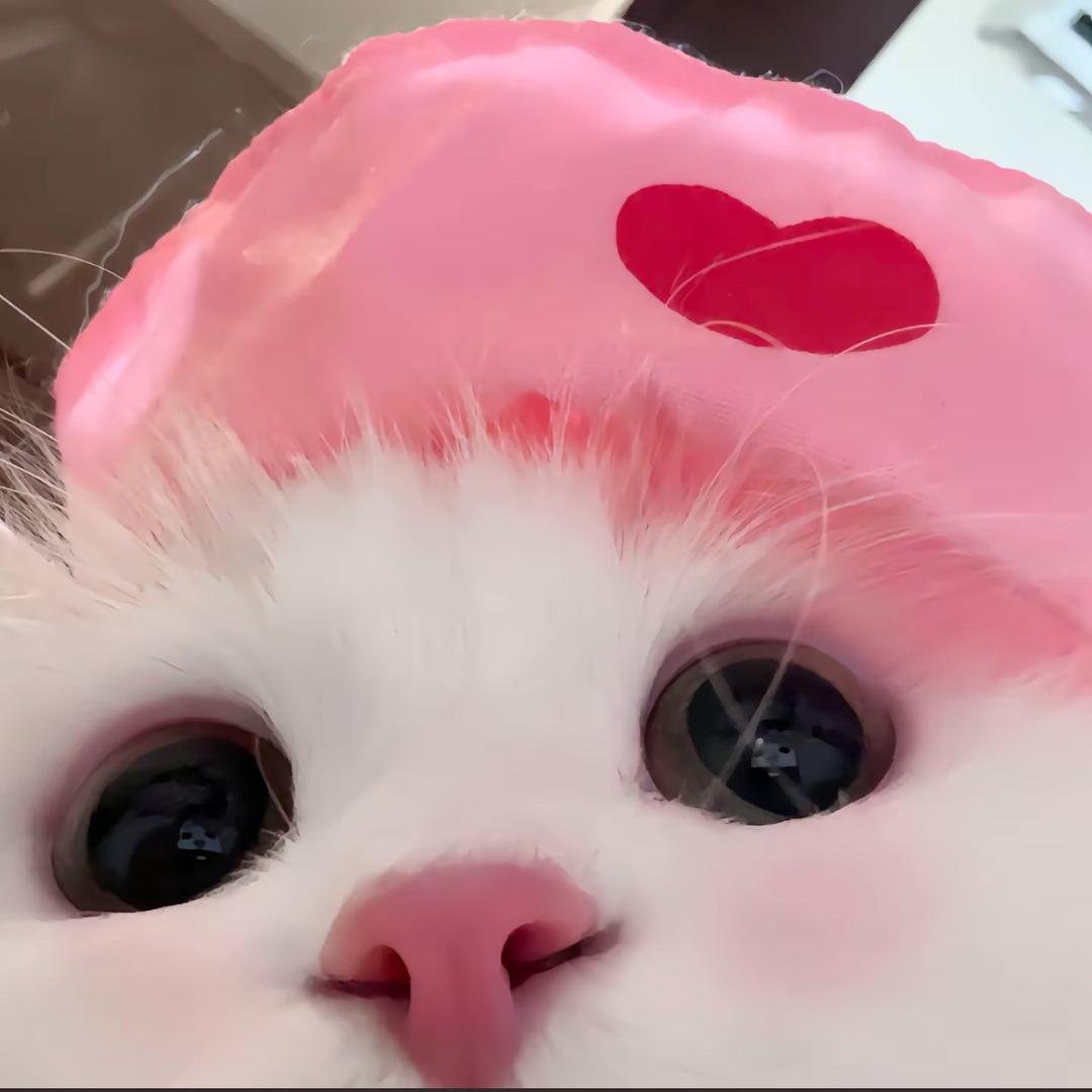 华华