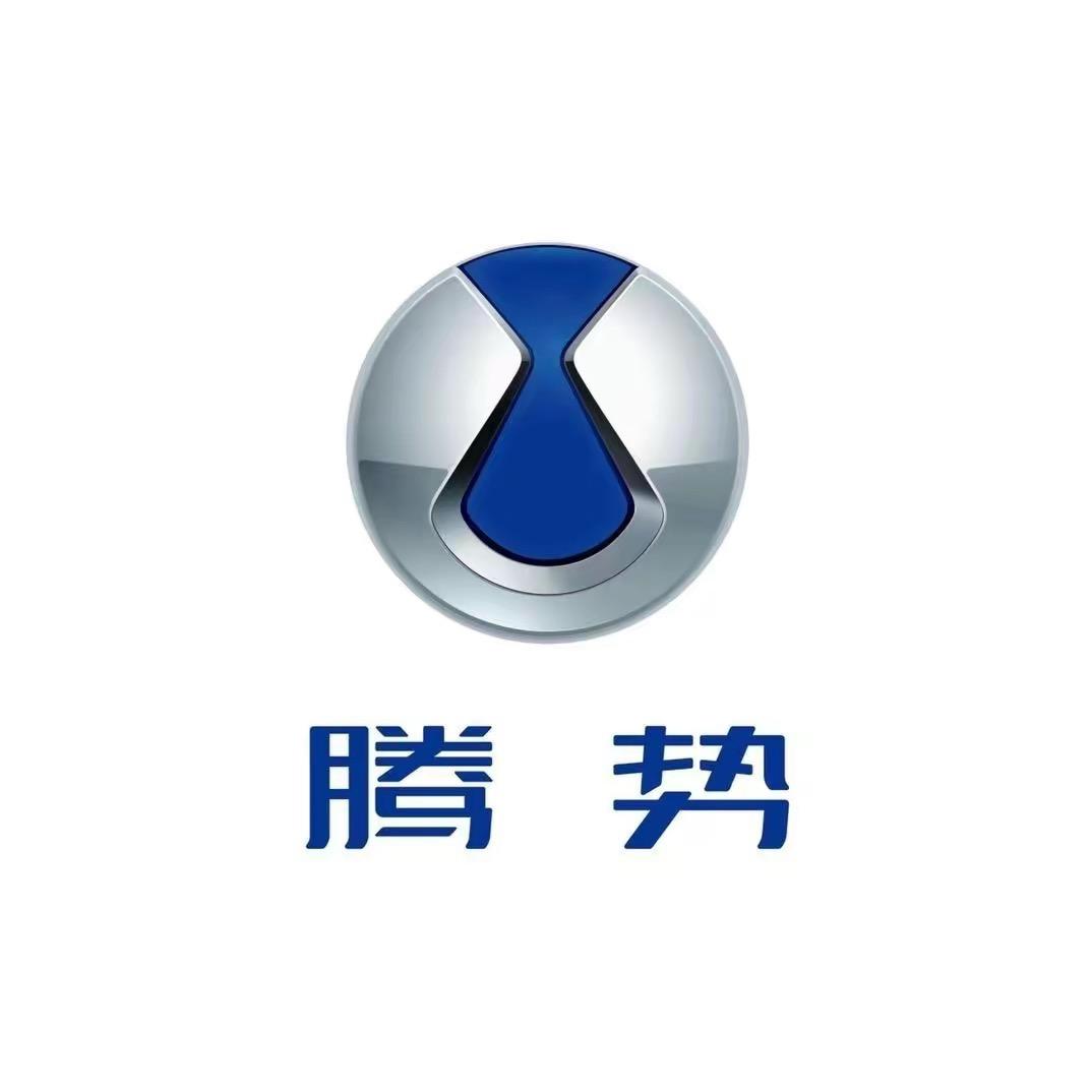 锐亿林杨二娃改腾势