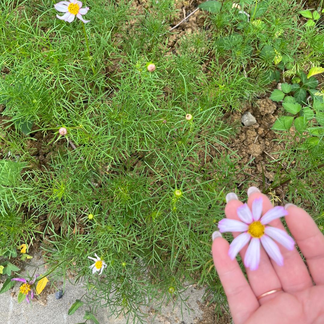 爱恒美甲工作室