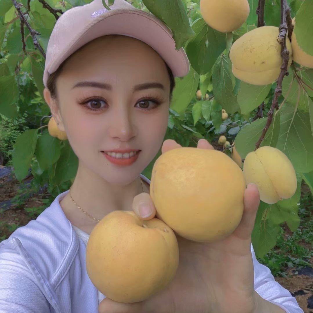 暖风农产品优品汇