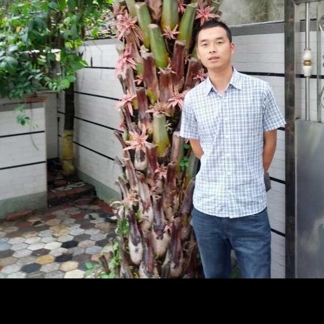 温江苗木基地