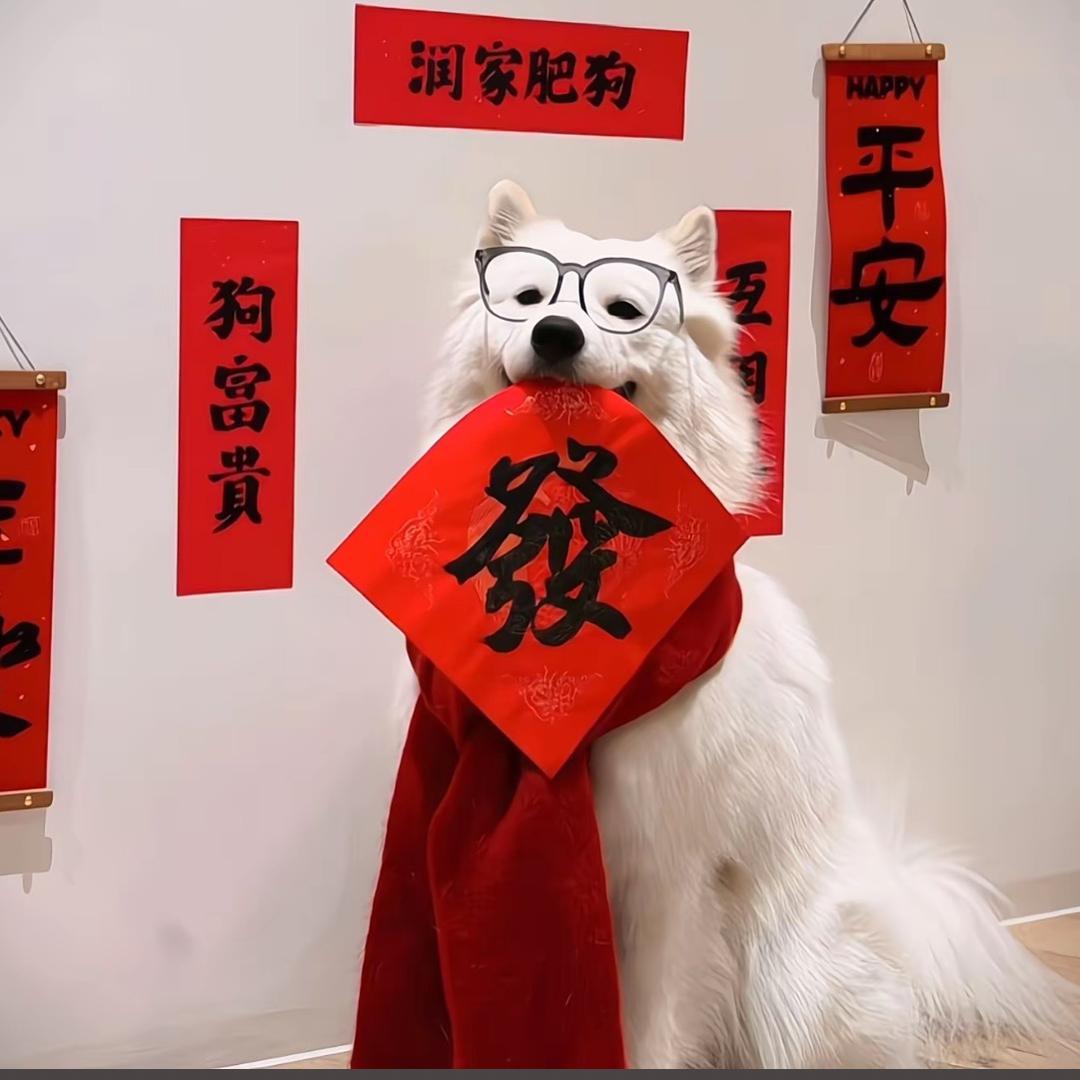 ¥