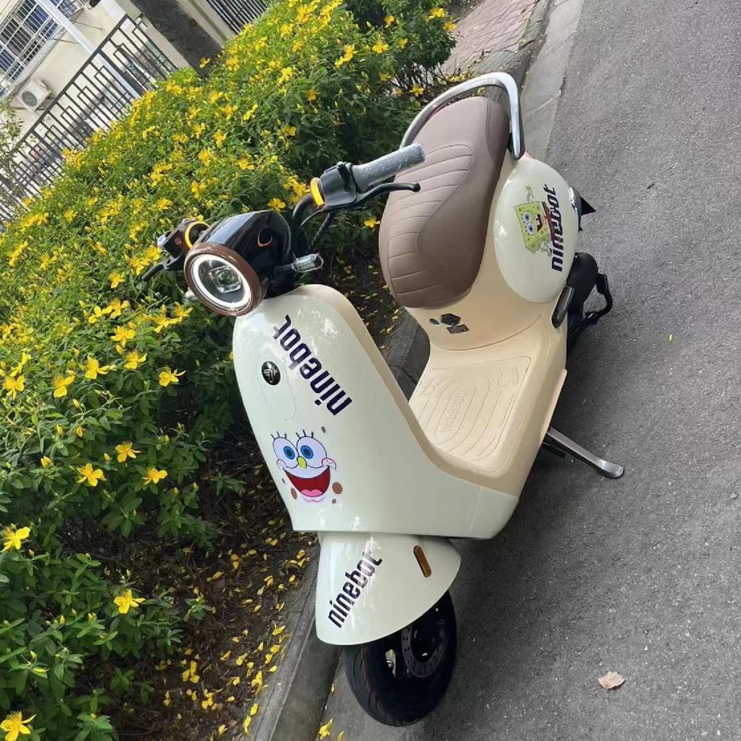 卖电动车的小姐姐-