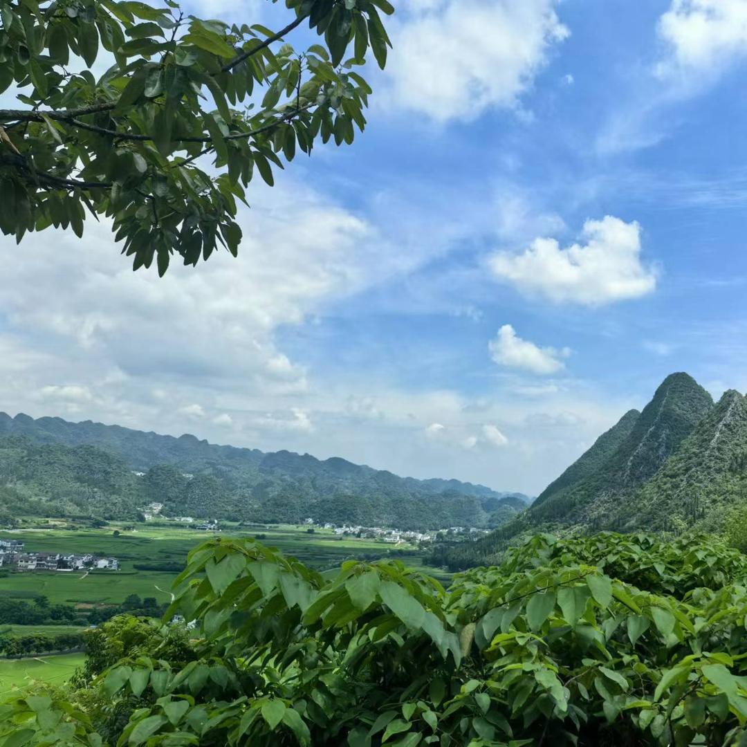 人生无来世；何必求太多