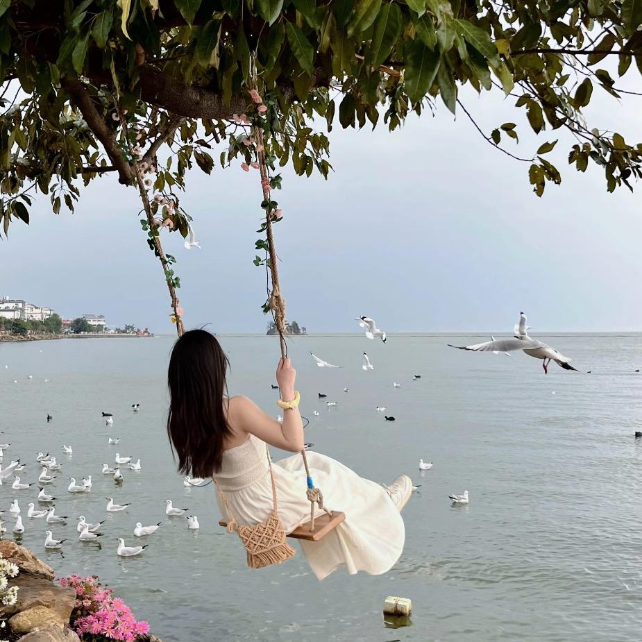 番茄梦想家