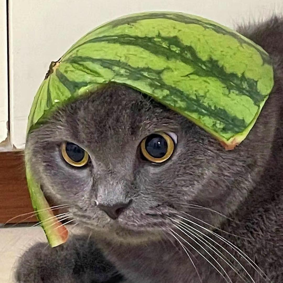 聆初湫-