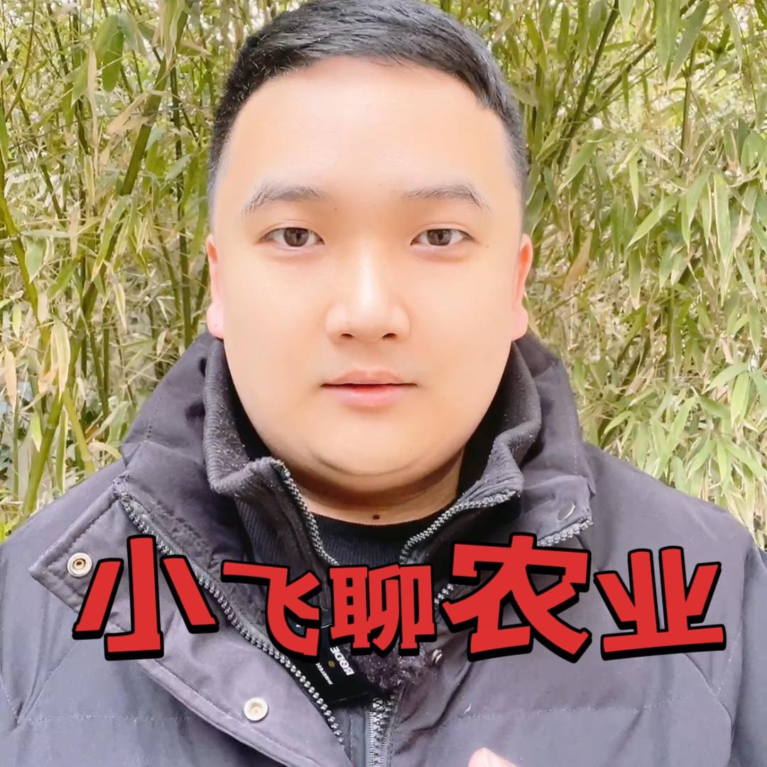 小飞聊农业