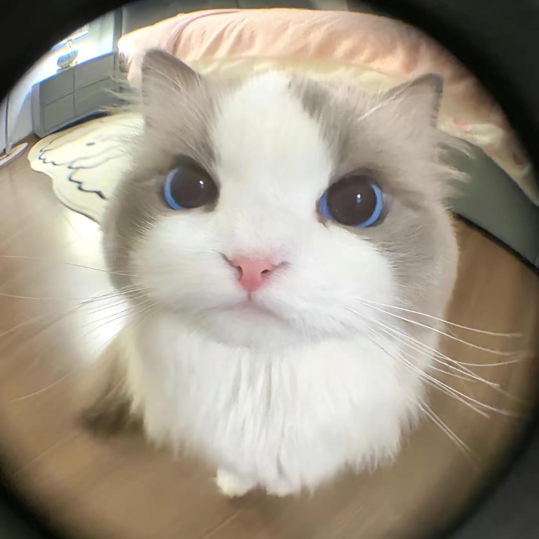 敢当