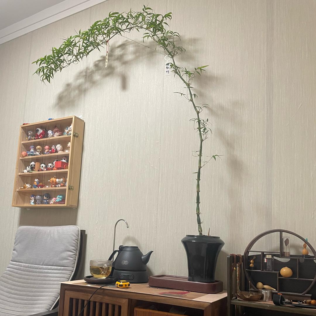 时光流转