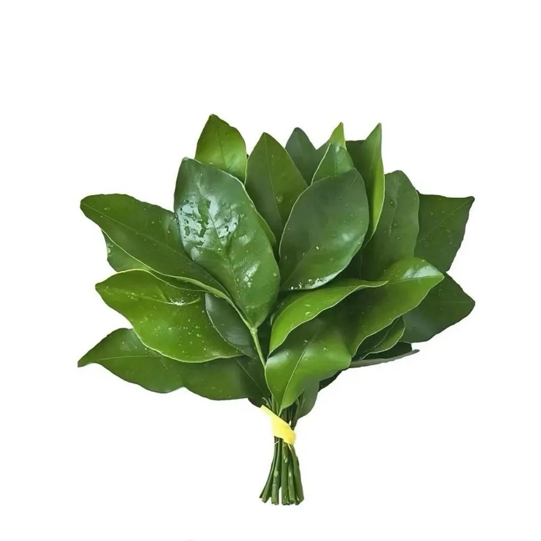 麻辣毛杜