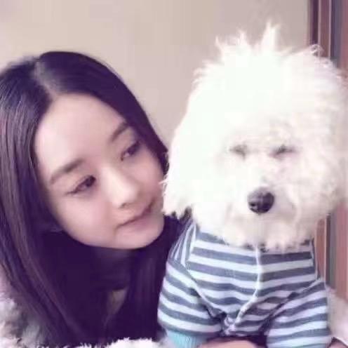 🌸小凤🌸
