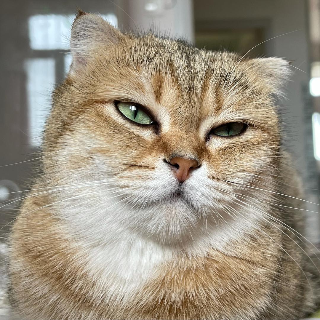 小玉nail（家庭版）