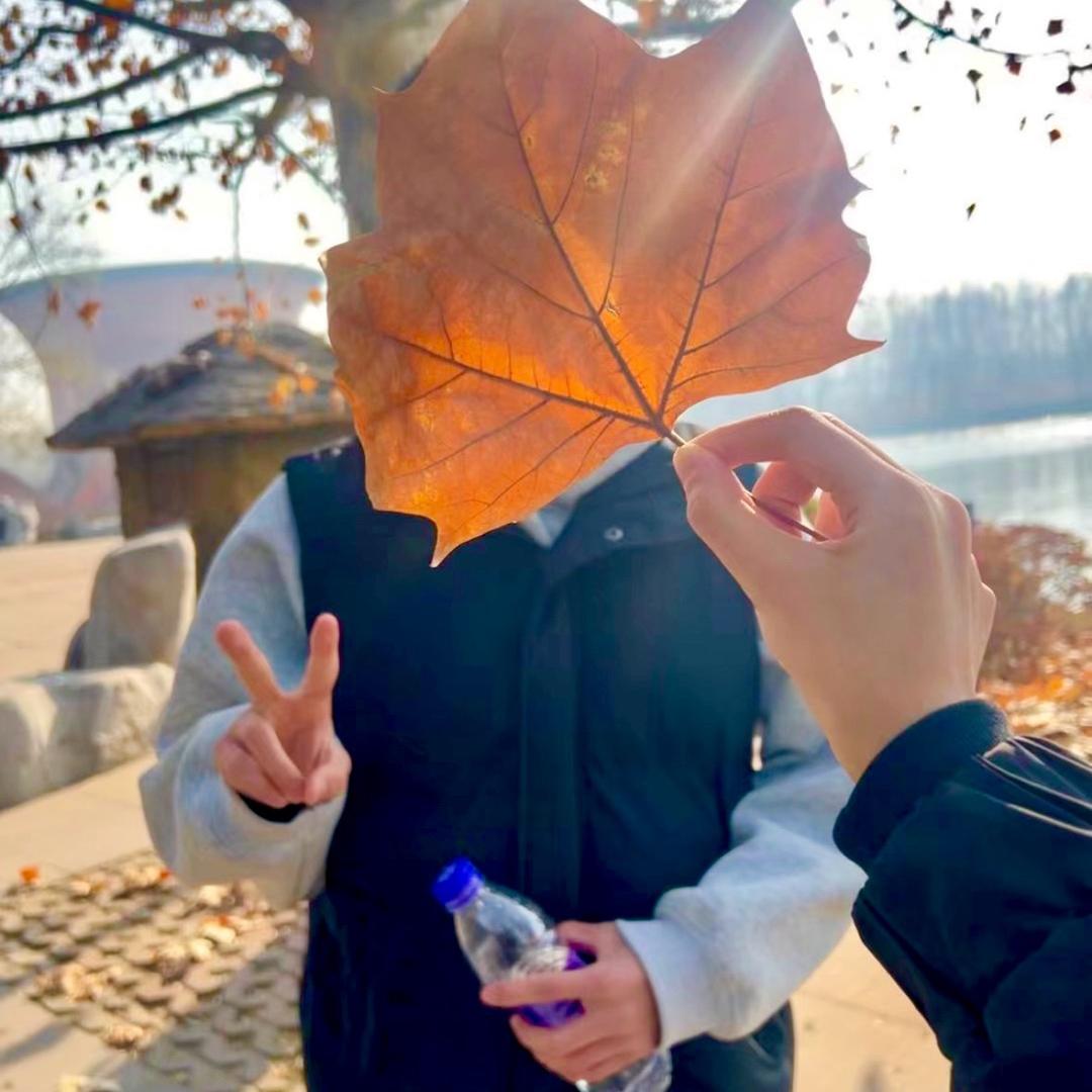 搓麻将Z