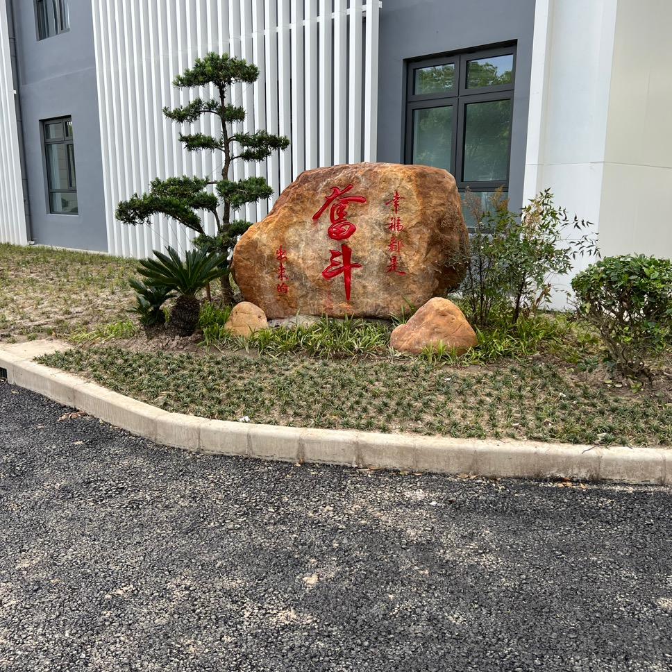 爱飞的云