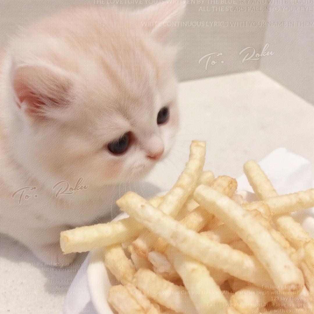 巧