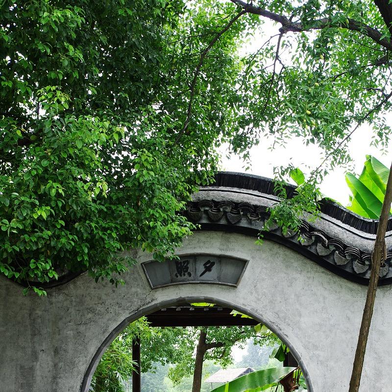 清风拂面