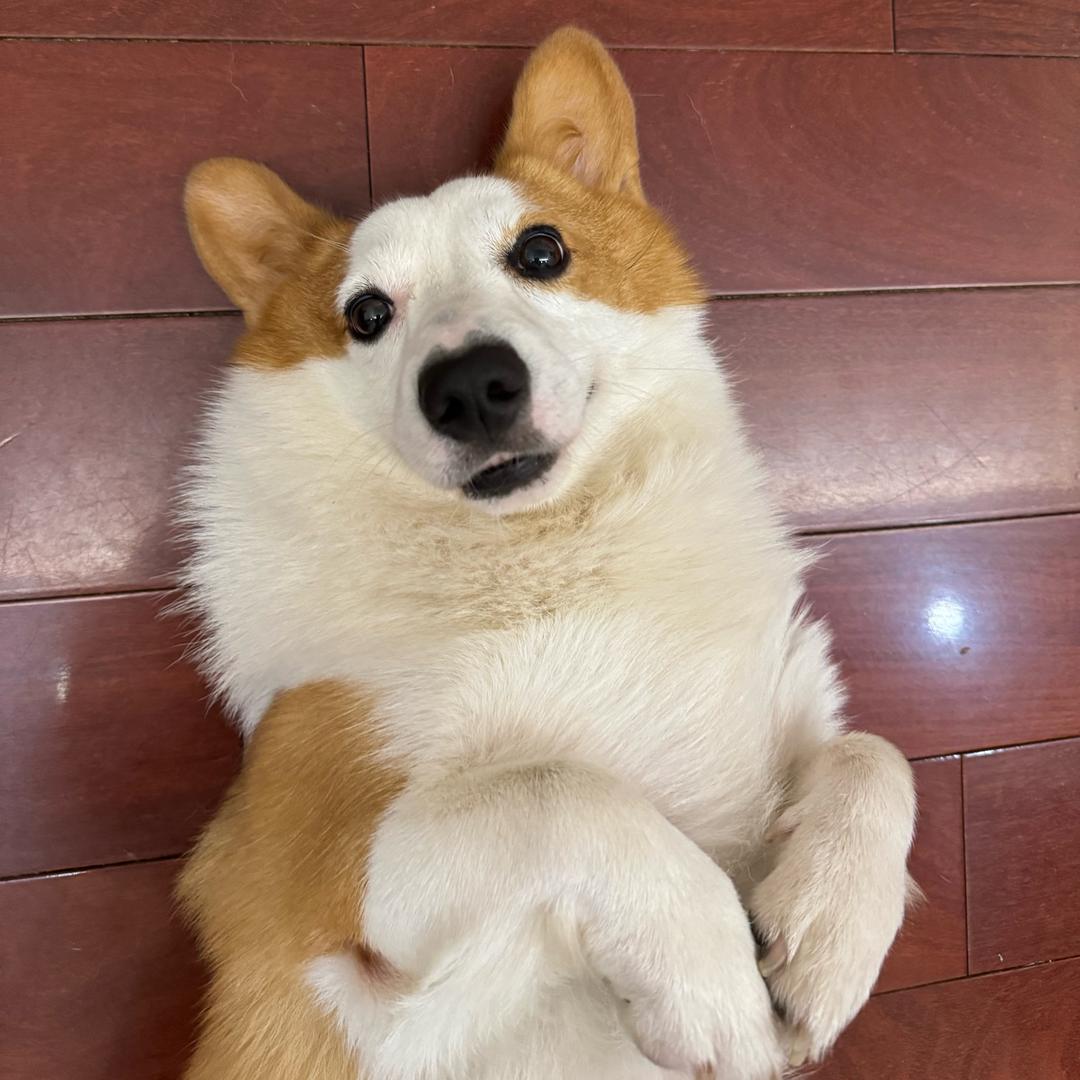 lucky&…