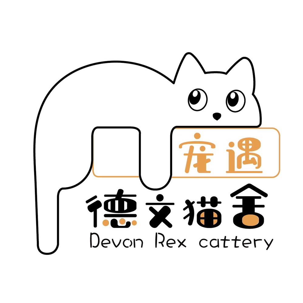 宠遇德文猫舍