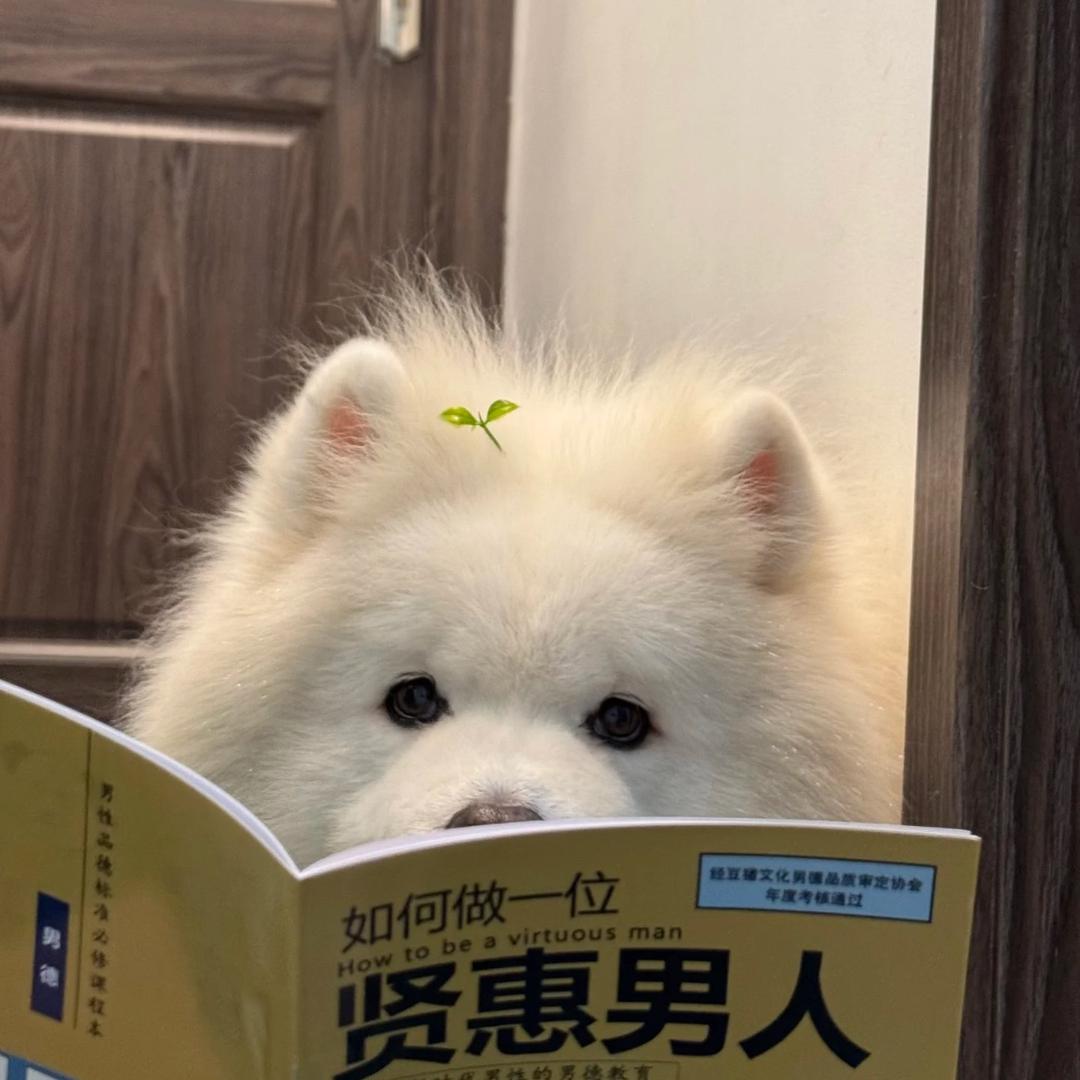 五谷轮回大使