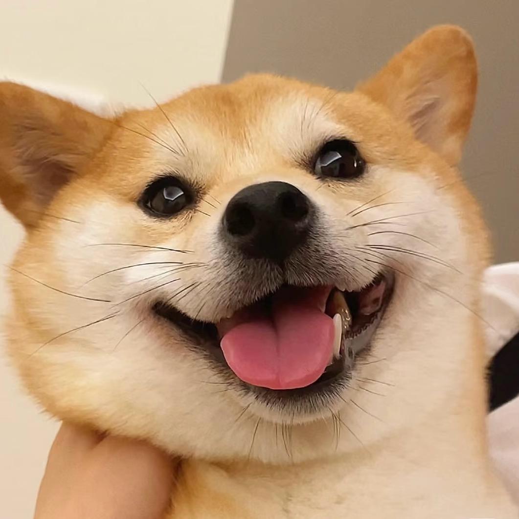 苏以沫🫧