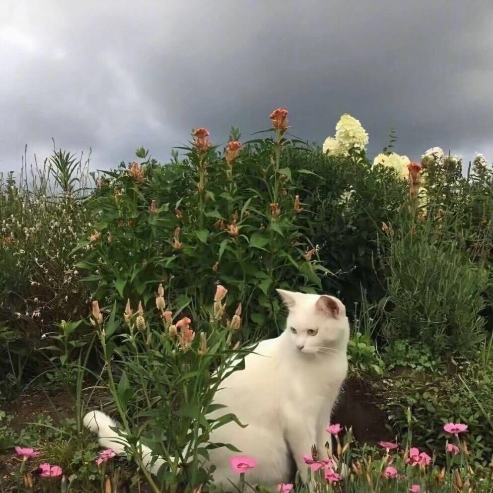 铂悦澜庭  小滕