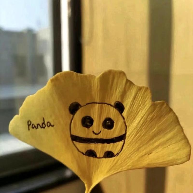 芭蕉夜雨十年灯