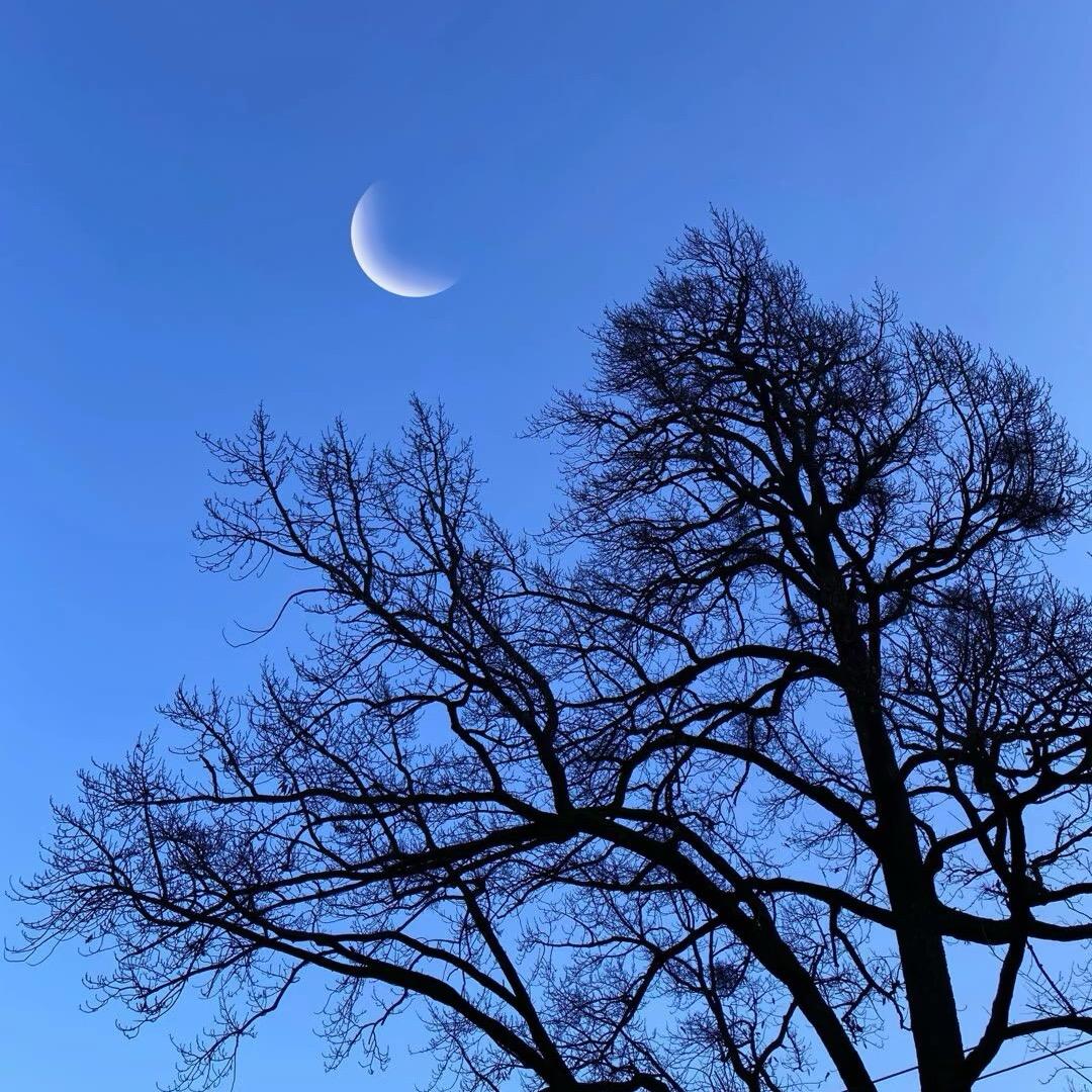 华夏工艺优品店