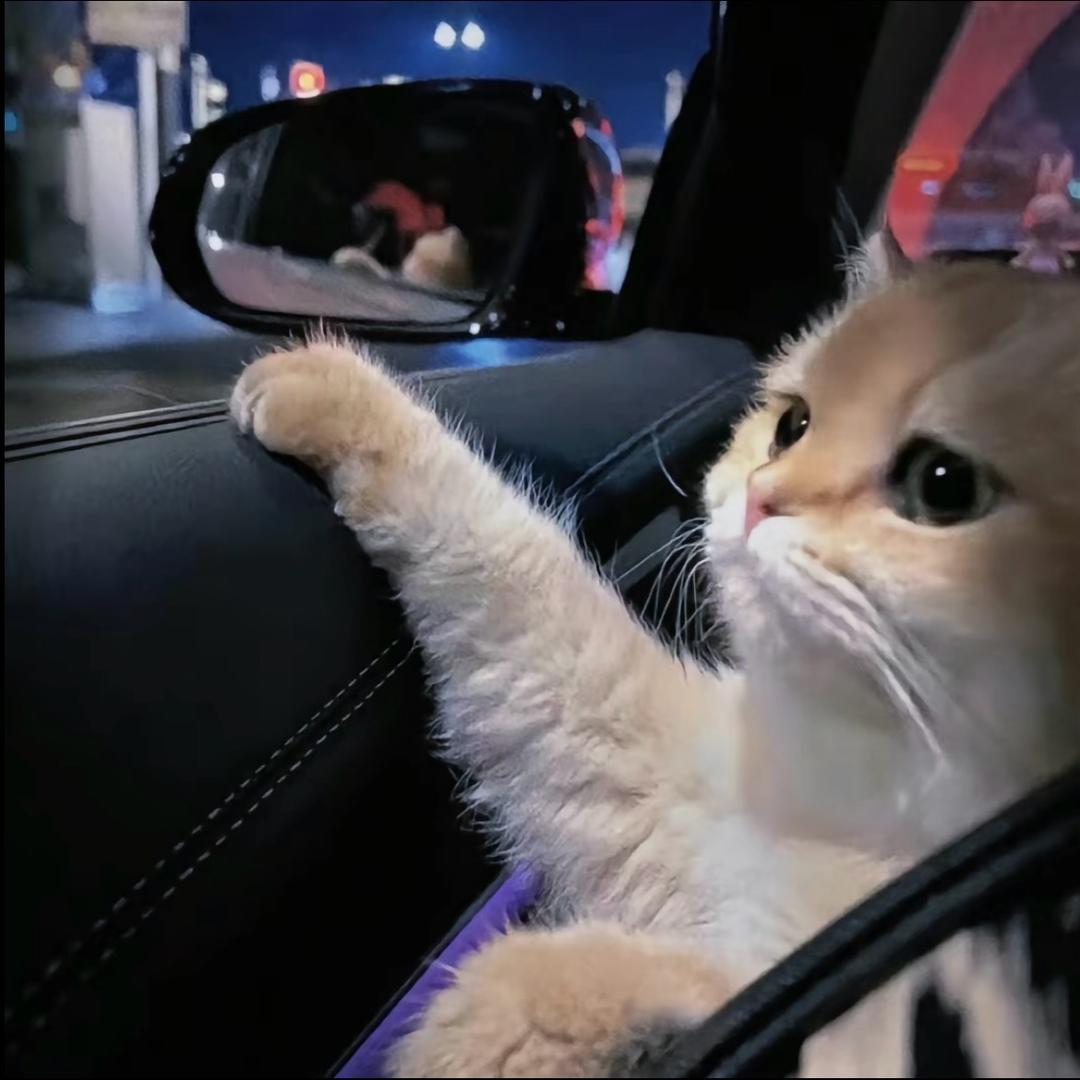 👊👊
