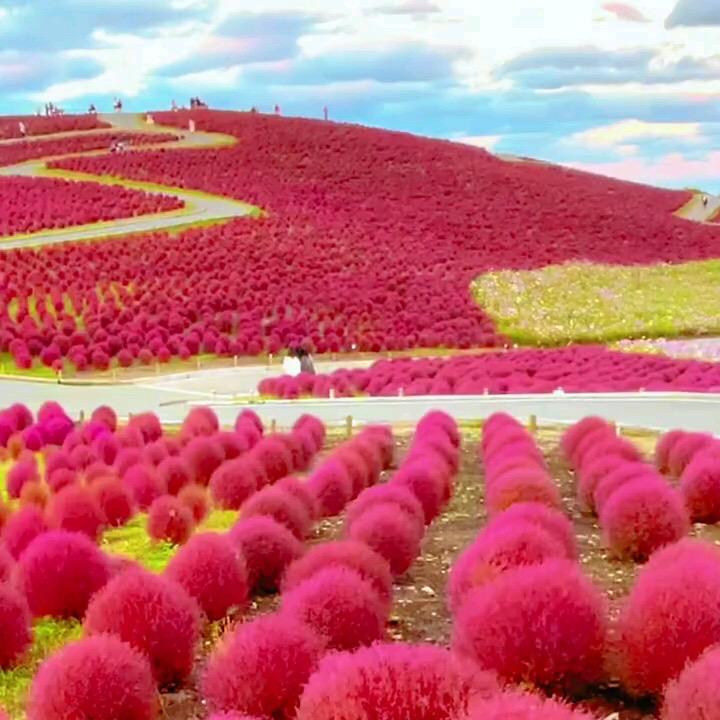 瑜意影视头像