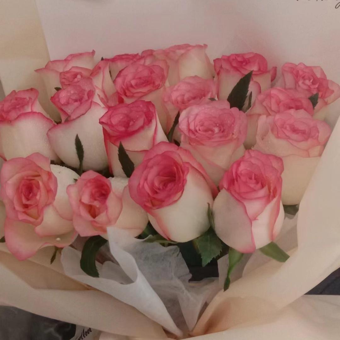 暖心🌻向阳