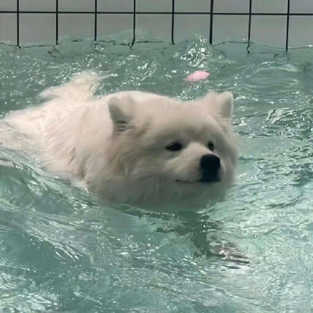 多睡会