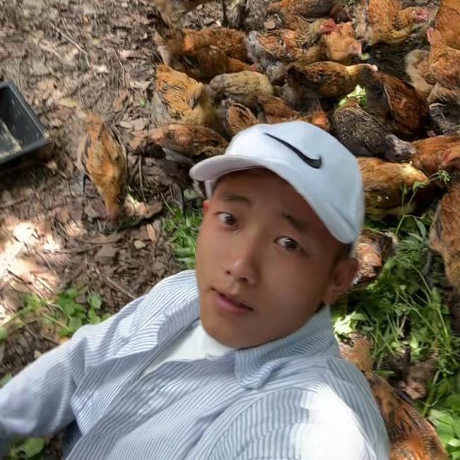 水城祝金宏出售脱温小鸡