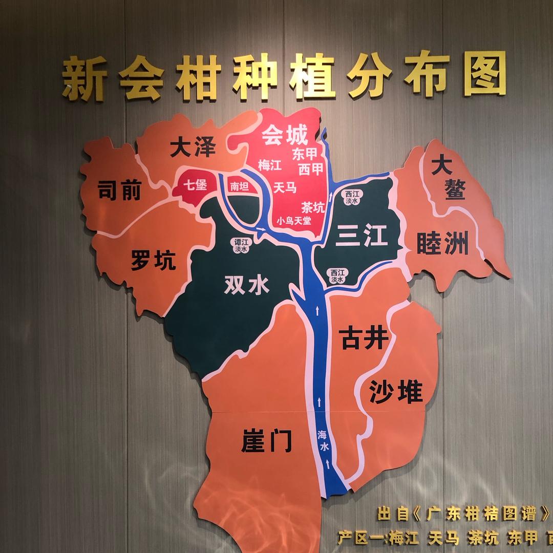 新会陈皮直播甄选