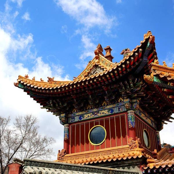 🇨🇳绒花树🇨🇳