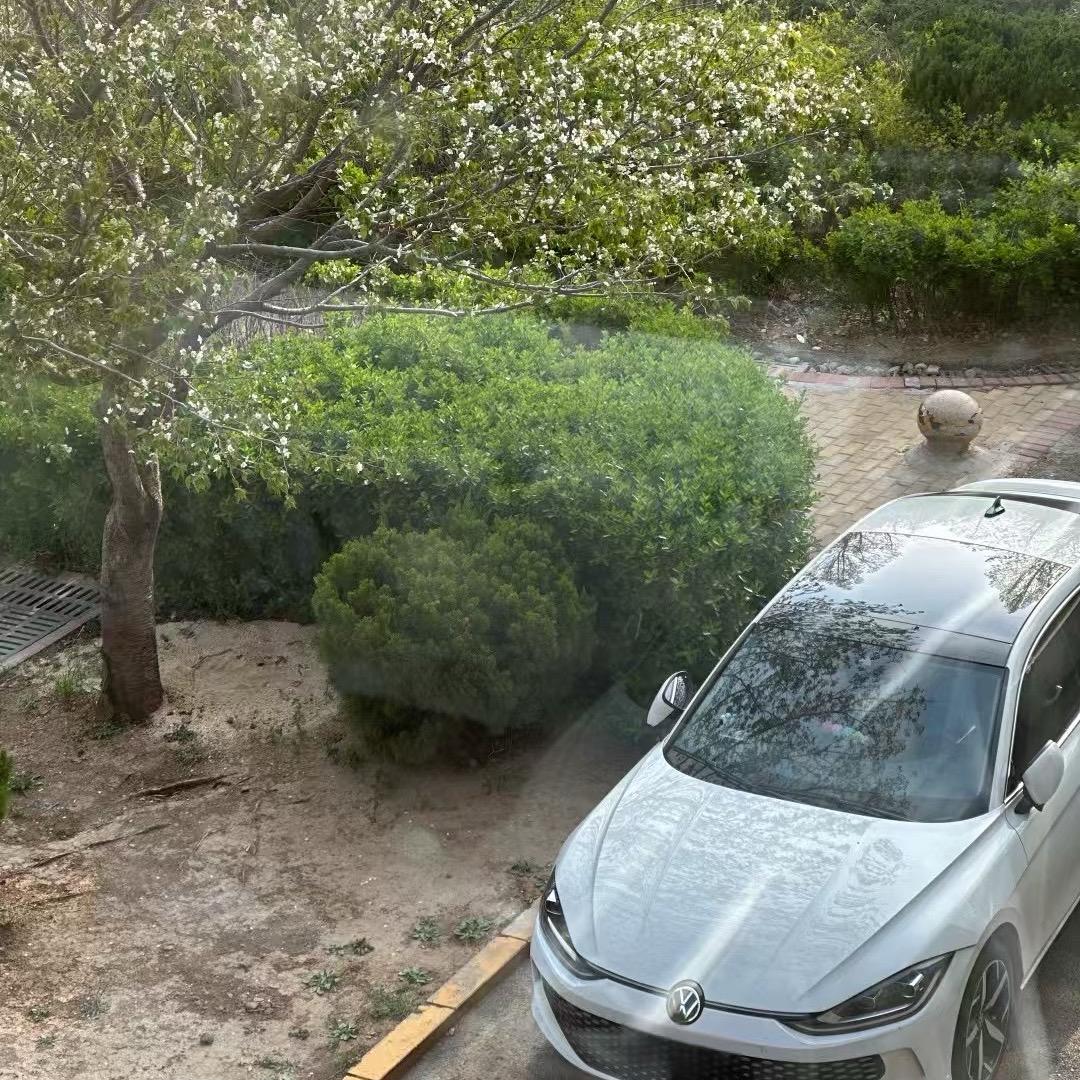 养一只辣馒头L(lamando)