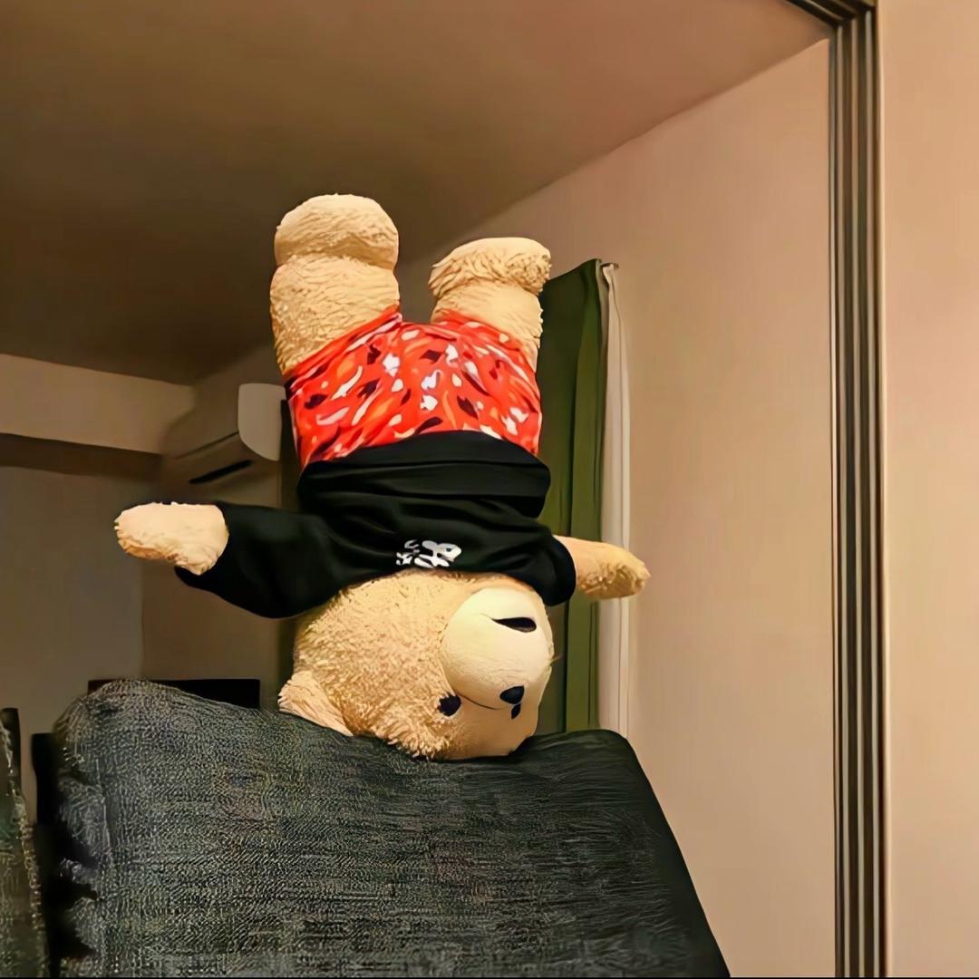 赵。