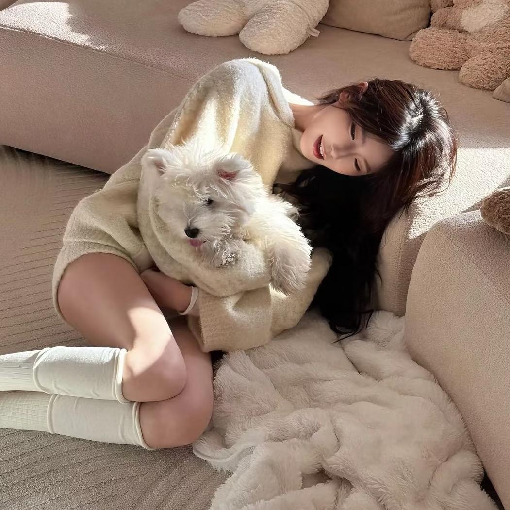 爆炸🐑
