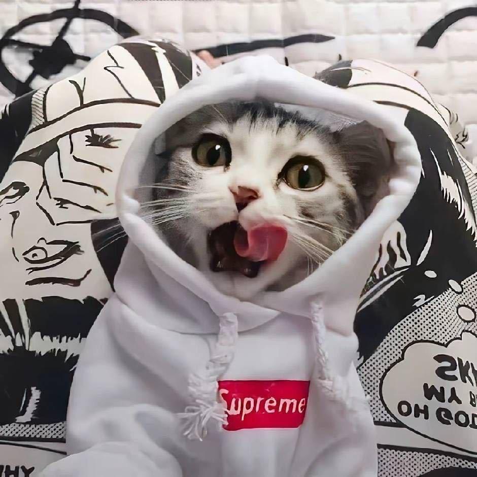 凱.