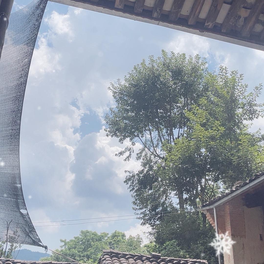 👍👍👍👍感谢陪伴