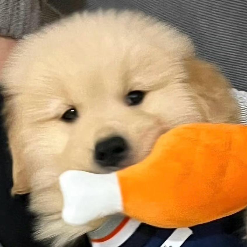 🐳