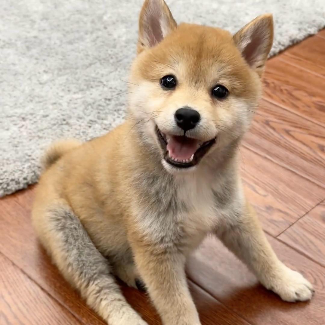 Kevin
