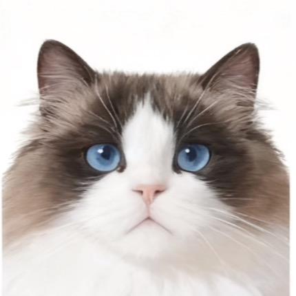 瑶尧เก๋อเหยา