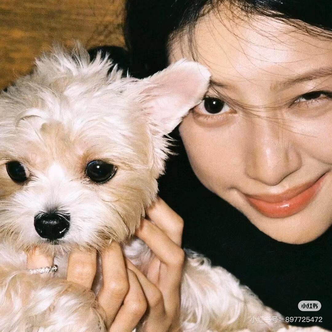 小土豆长大个🍟