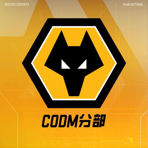 狼队电竞CODM分部
