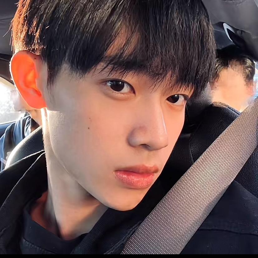 小蜜熊