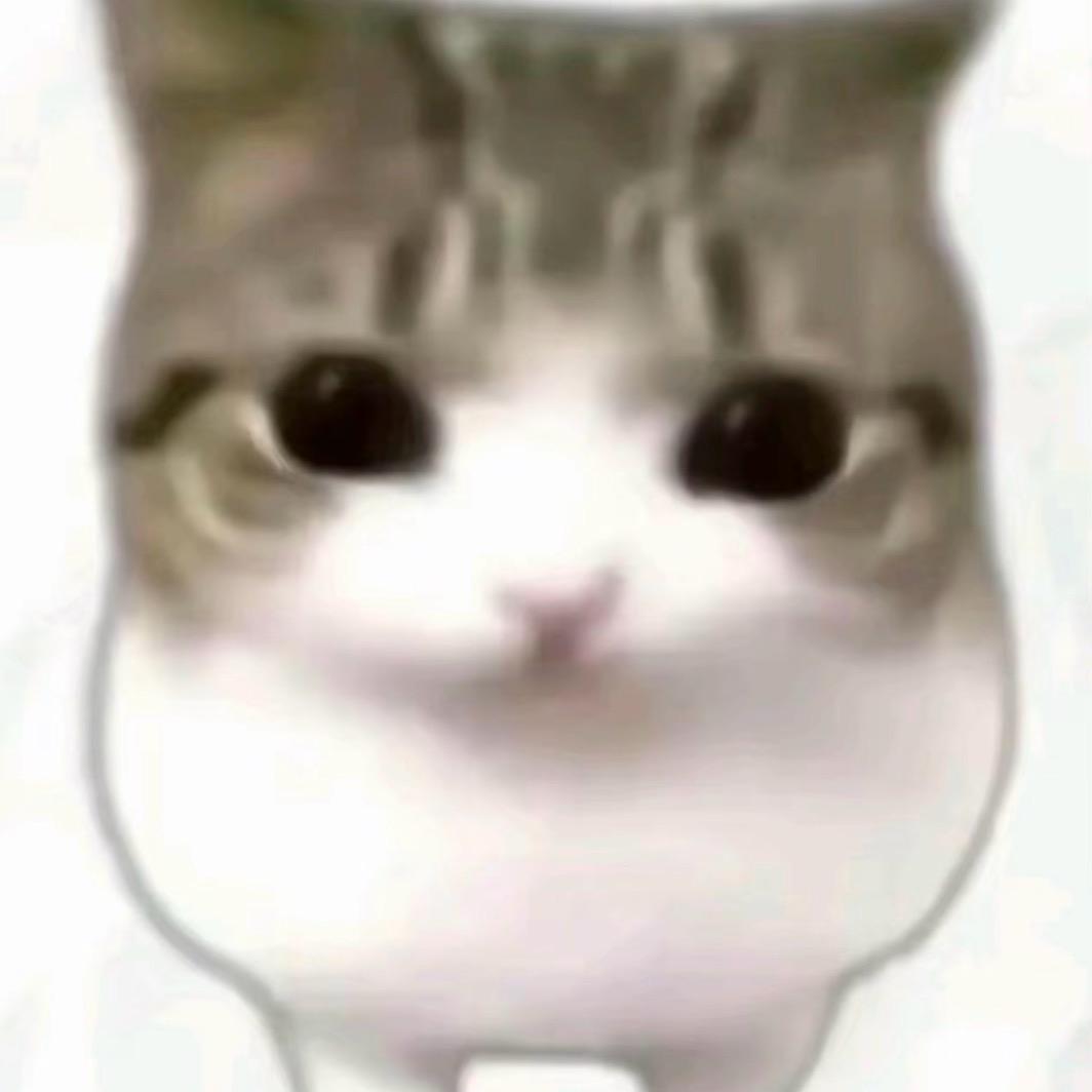 •͈ᴗ⁃͈★头像