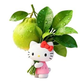 47岁国色天香锅炉房西施