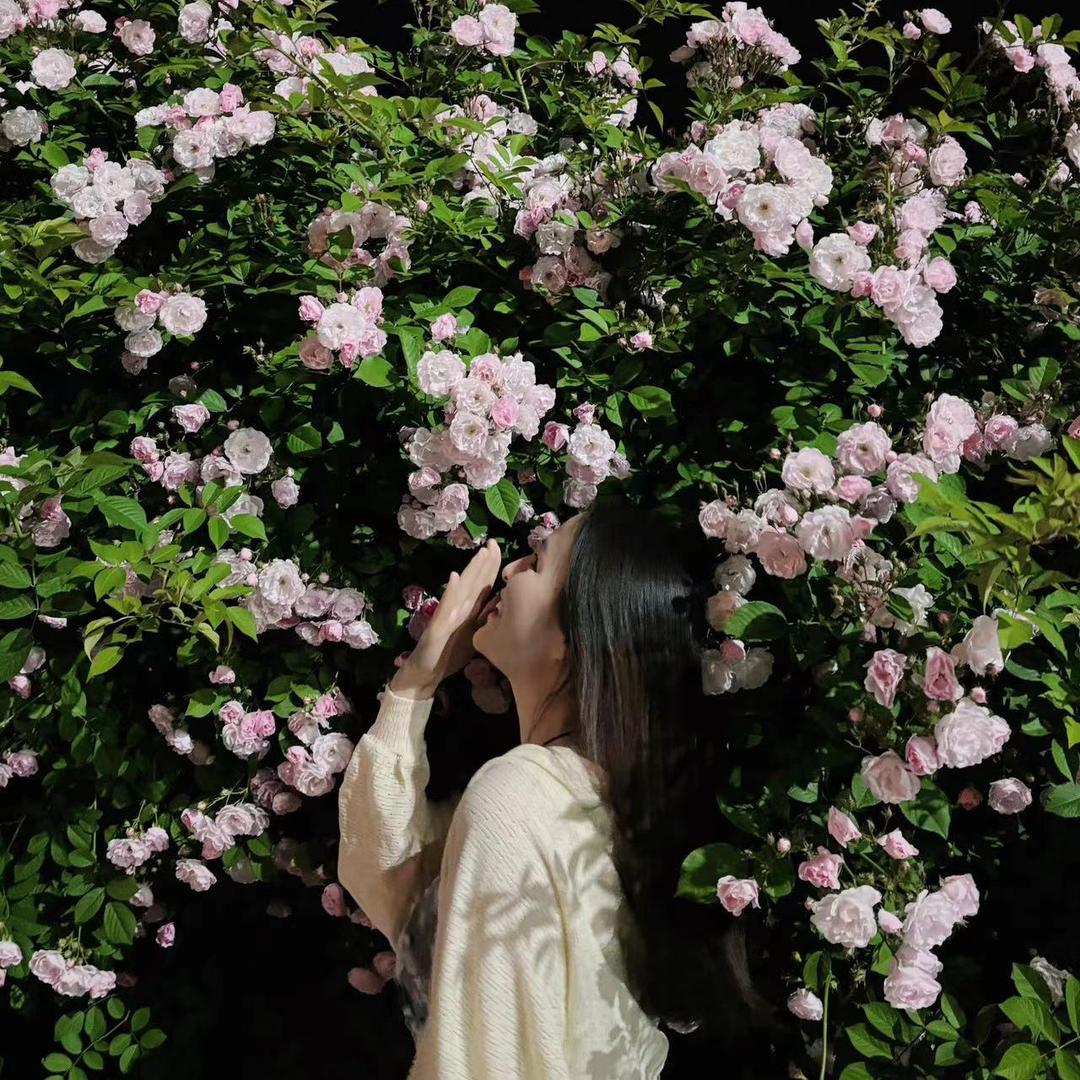 杉杉杉