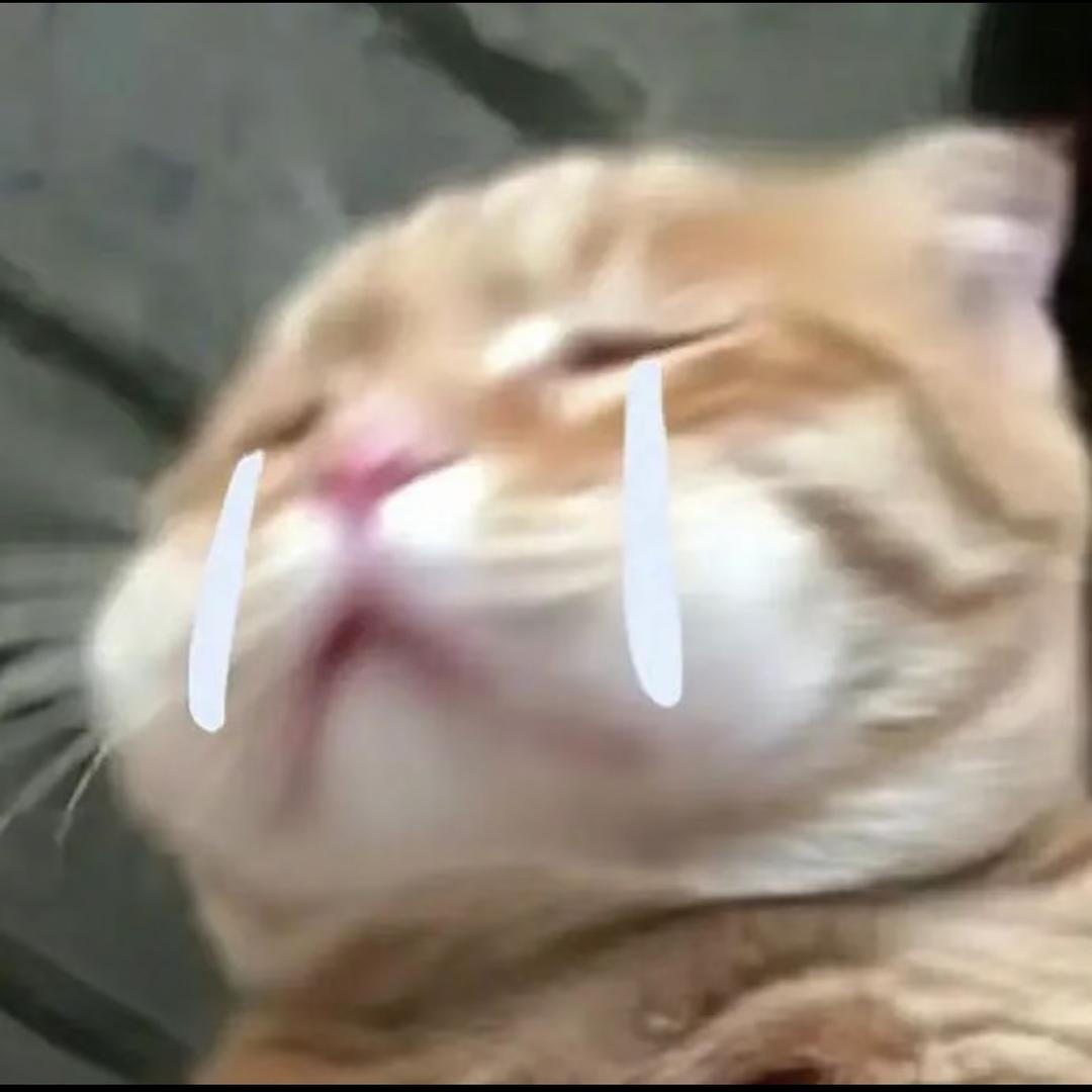 不许说让我难过的话
