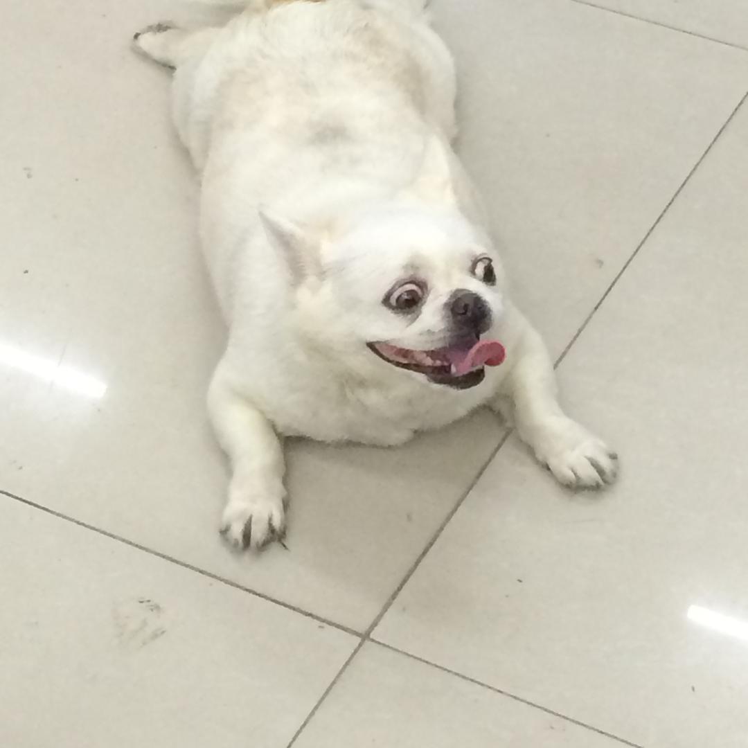 1082895423头像